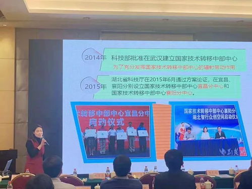 向艷 探索科技中介服務新模式，激活創新生態系統